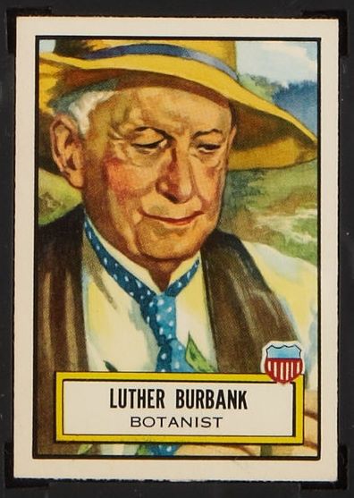27 Luther Burbank